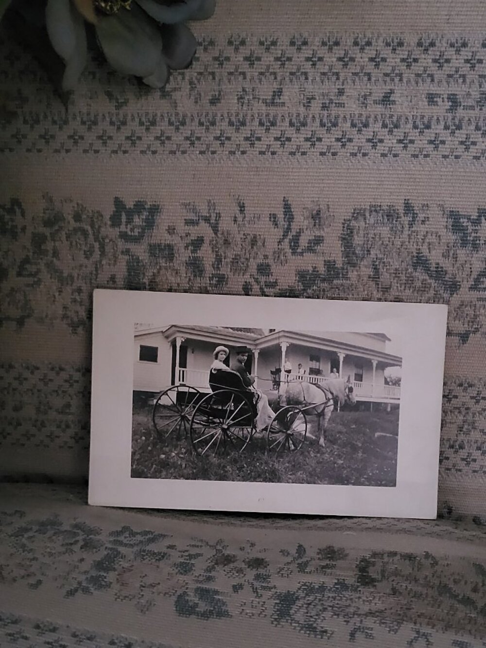 Antique Horse and Carriage Real Photo Postcard RPPC Vintage 1900s